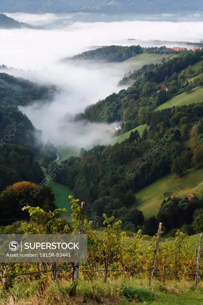 Austria, Styria, View of mountain in fog