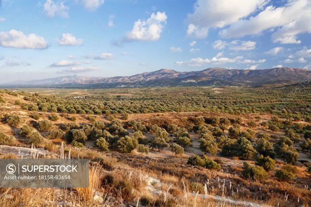 Greece, Crete, Messara Valley, View of landscape with bushes and mountains in background