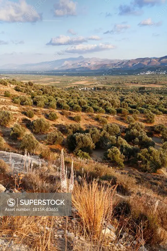 Greece, Crete, Messara Valley, View of landscape with bushes and mountains in background