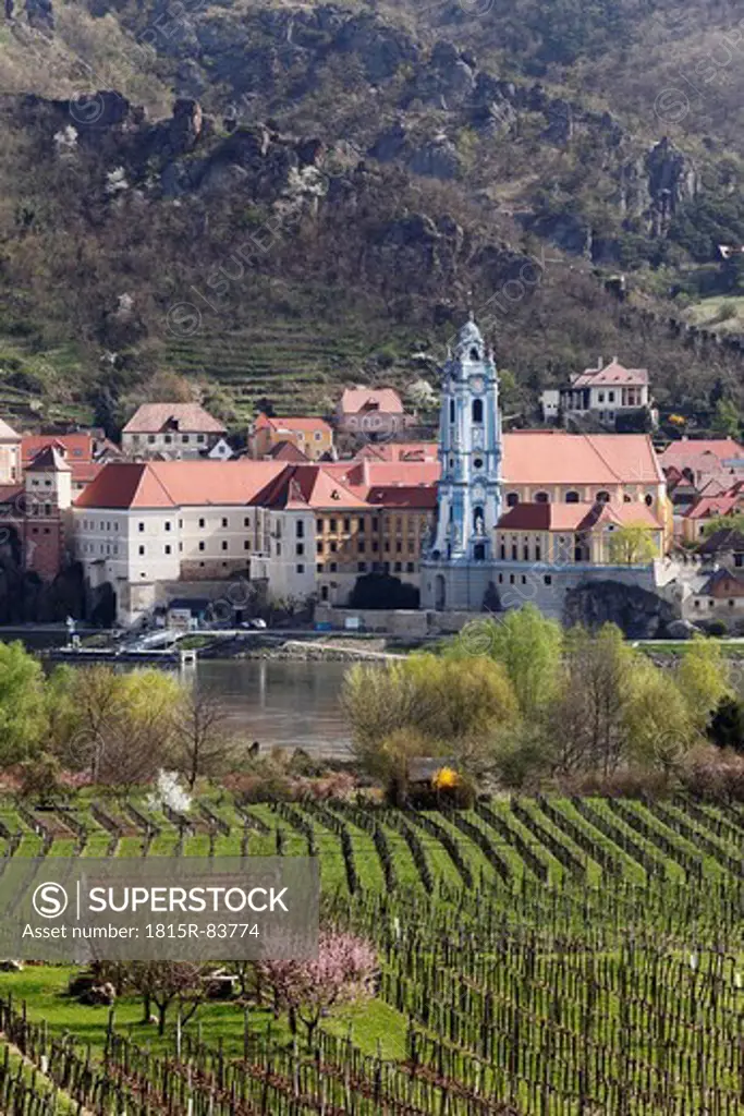 Austria, Lower Austria, Wachau, Duernstein, View of town with Danube river and vineyard in foreground