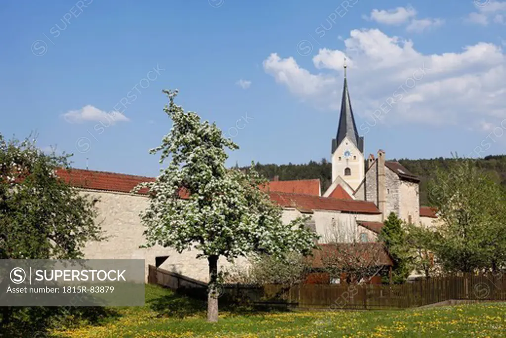 Germany, Bavaria, Upper Palatinate, Berching, View of city wall with blooming apple tree