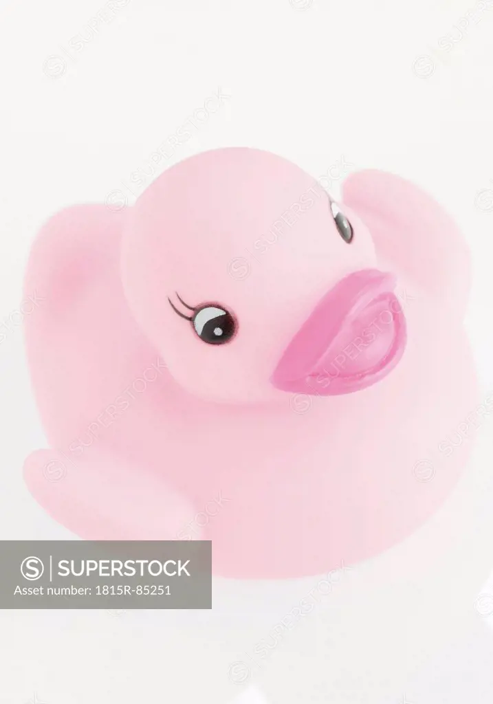 Rubber duck on white background