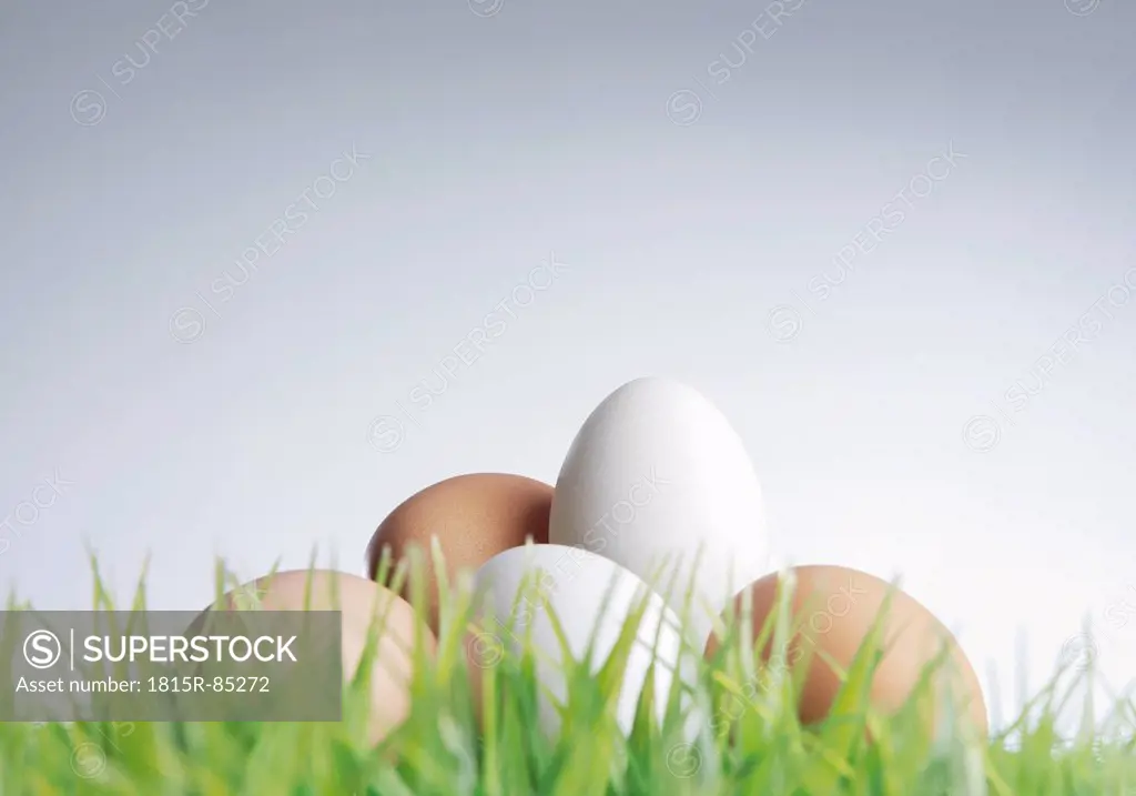 White and brown eggs with grass