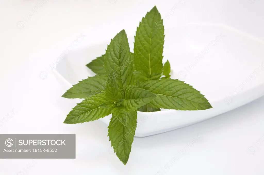 Mint in bowl, close-up