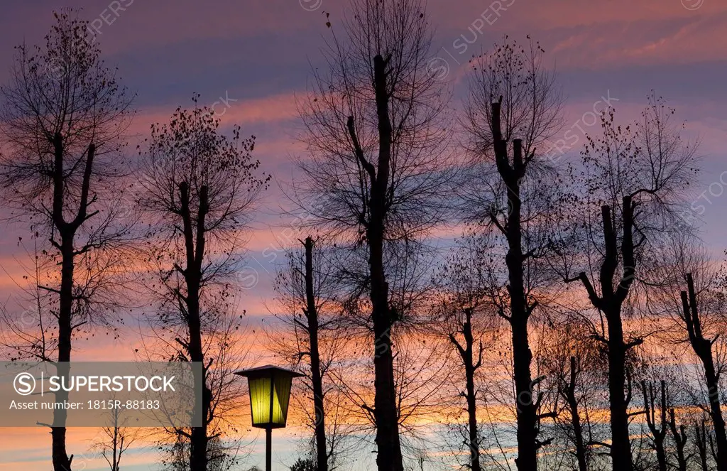 Austria, Salzkammergut, Mondsee, View of silhouette trees and street light at dawn
