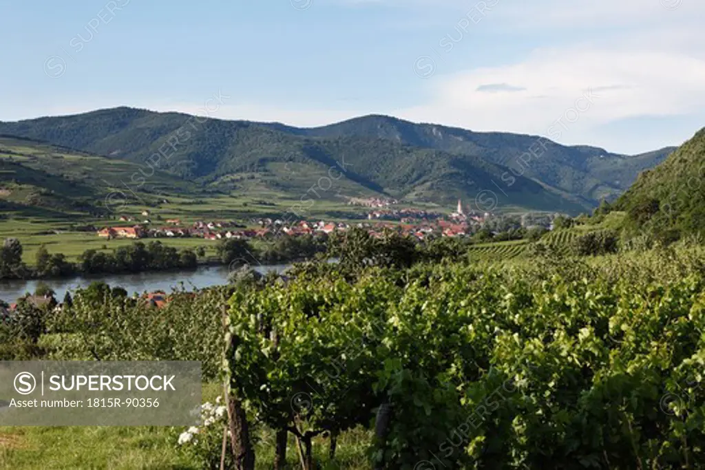 Austria, Lower Austria, Wachau, Weissenkirchen, View of village with Danube river and vineyard in foreground