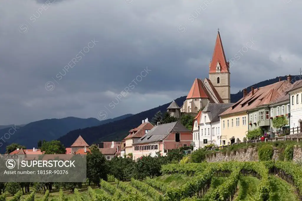 Austria, Lower Austria, Wachau, Weissenkirchen in der Wachau, View of town with vineyard in foreground