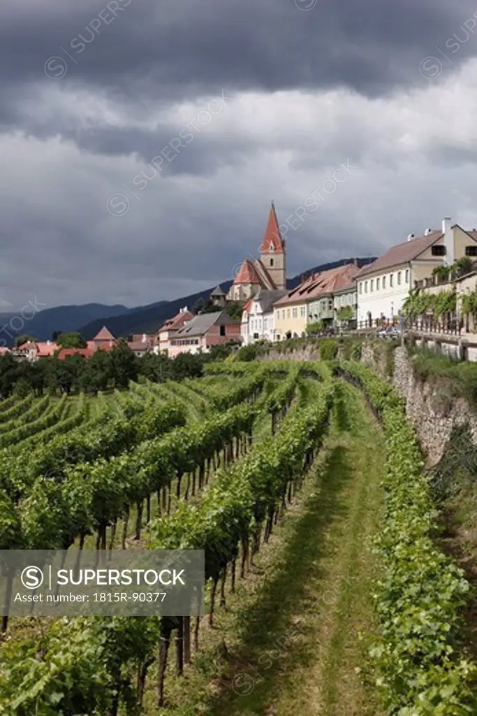 Austria, Lower Austria, Wachau, Weissenkirchen in der Wachau, View of town with vineyard in foreground