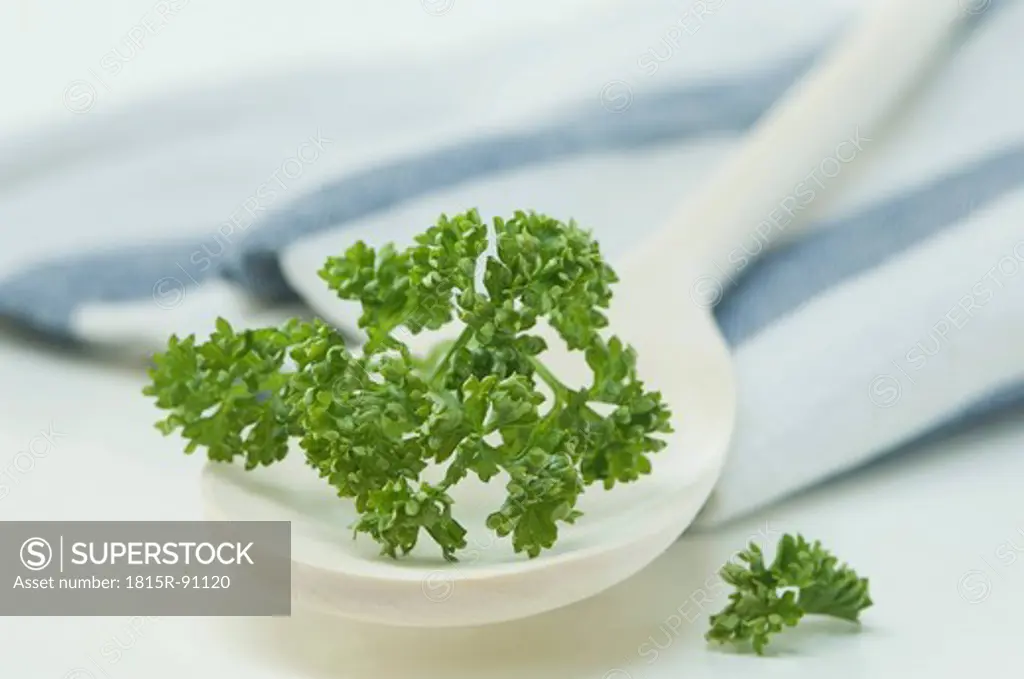 Wooden spoon with parsley on white background, close up