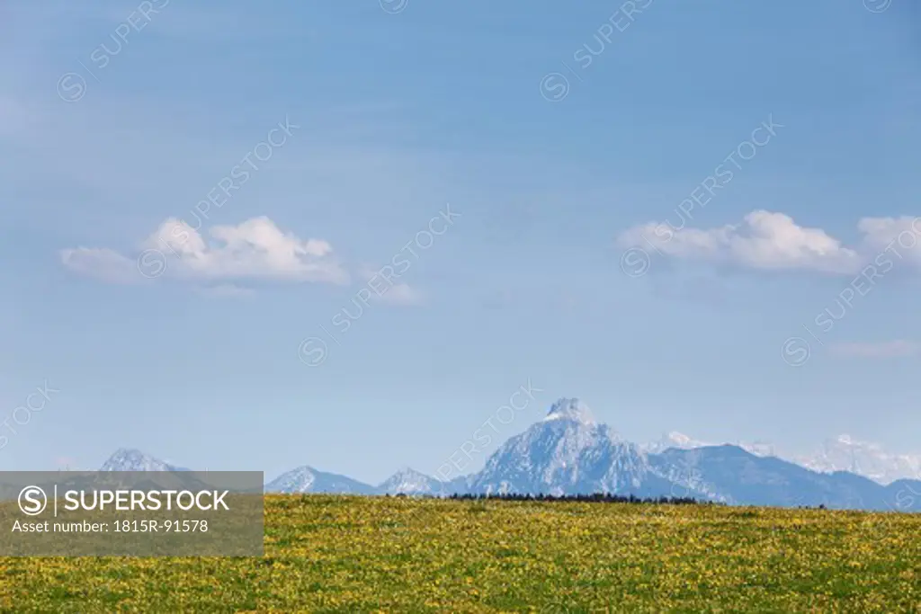 Germany, Bavaria, Swabia, Allgaeu, Ostallgaeu, Nesselwang, View of Tegelberg and Saulingon mountain with meadow in foregorund