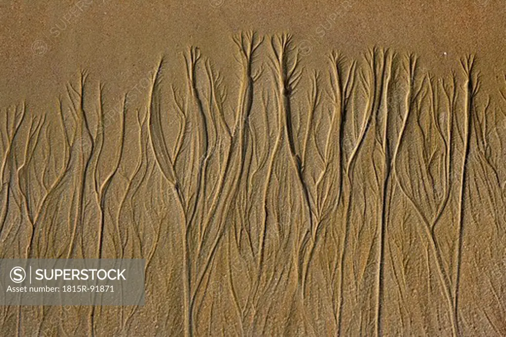 Africa, Guinea_Bissau, Tide marks on the beach