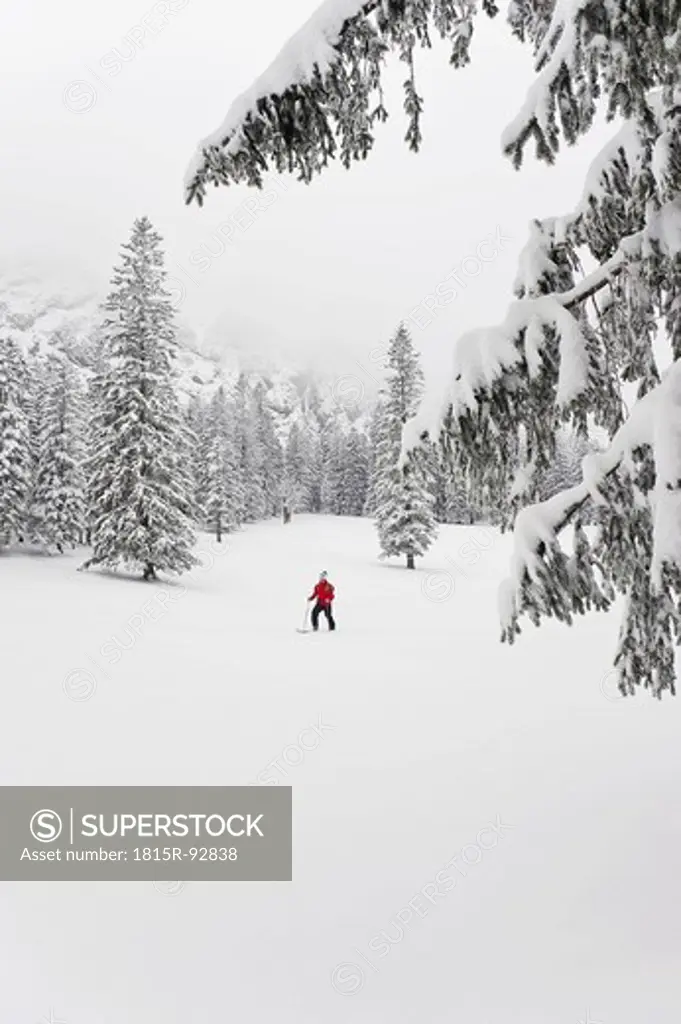 Germany, Bavaria, Young man doing telemark skiing in Herzogstand mountain forest