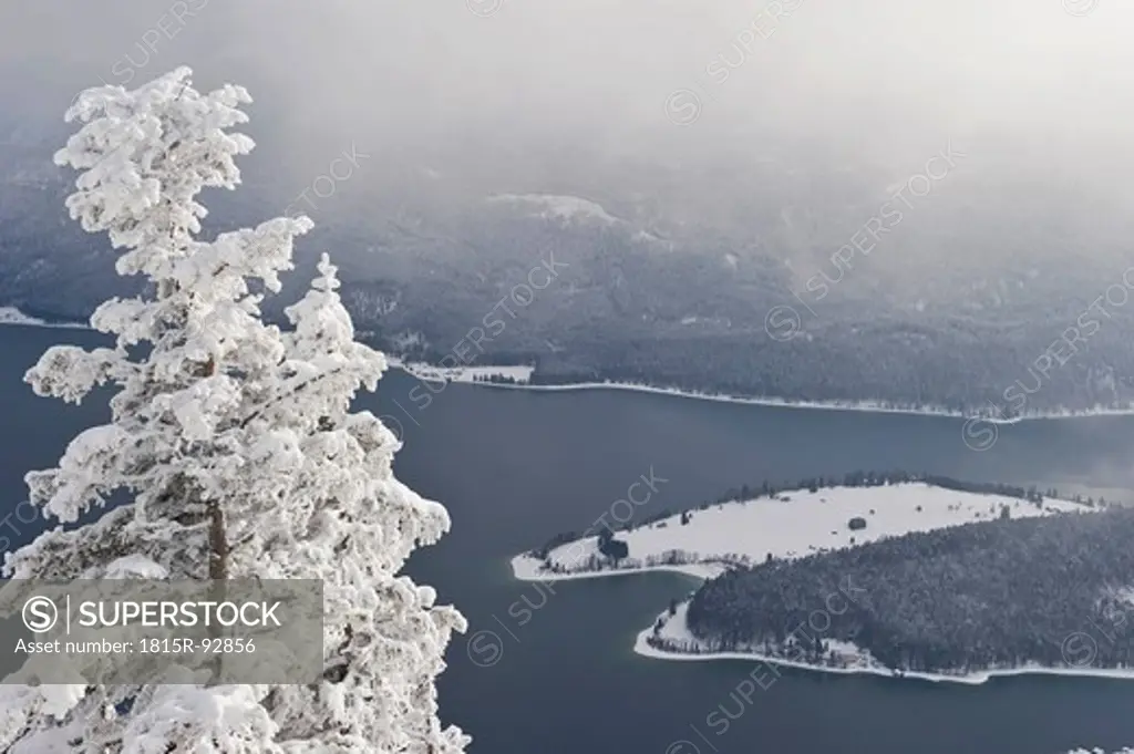 Germany, Bavaria, View of walchensee lake with Herzogstand mountain forest
