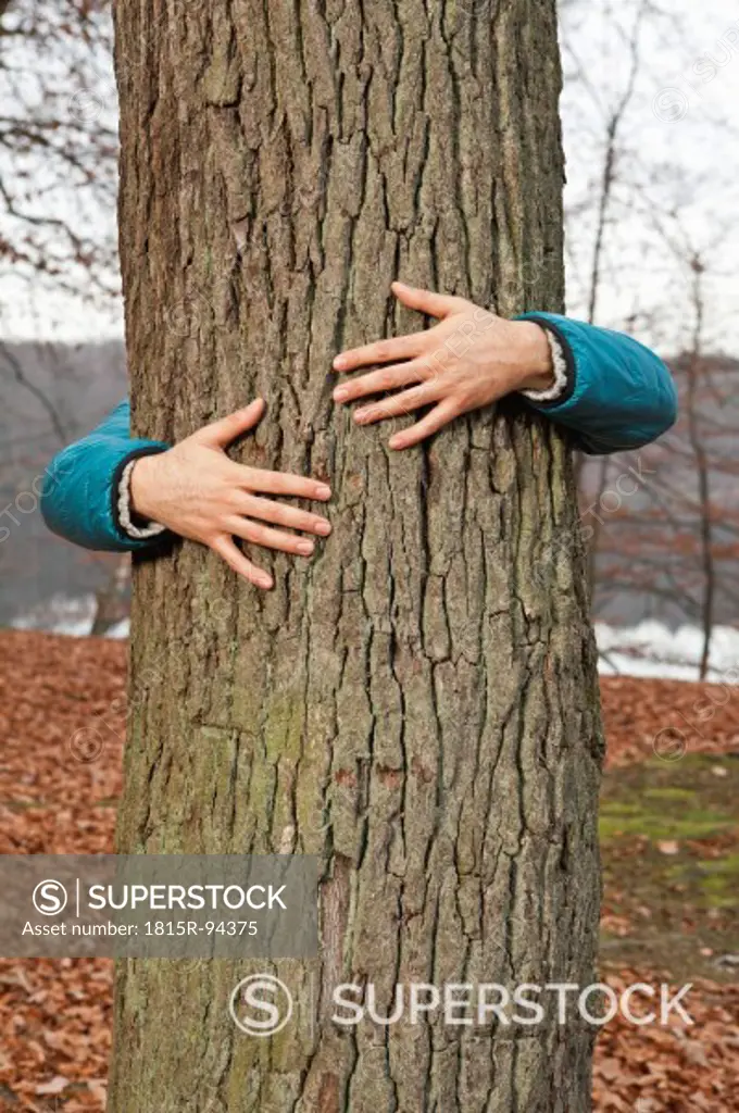 Germany, Berlin, Wandlitz, Young man hugging tree