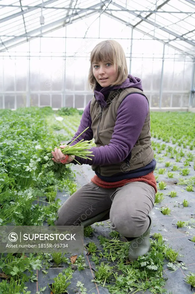 Germany, Upper Bavaria, Weidenkam, Young woman working in greenhouse of parsley