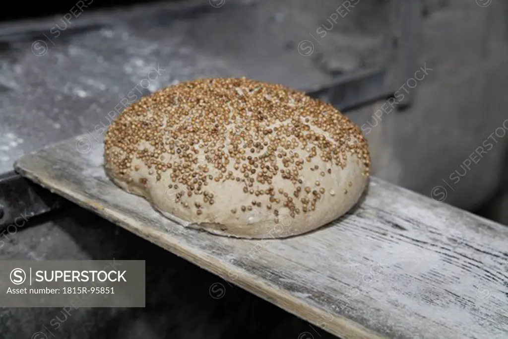 Germany, Upper Bavaria, Egling, Coriander seeds on bread in wood stove bakery, close up