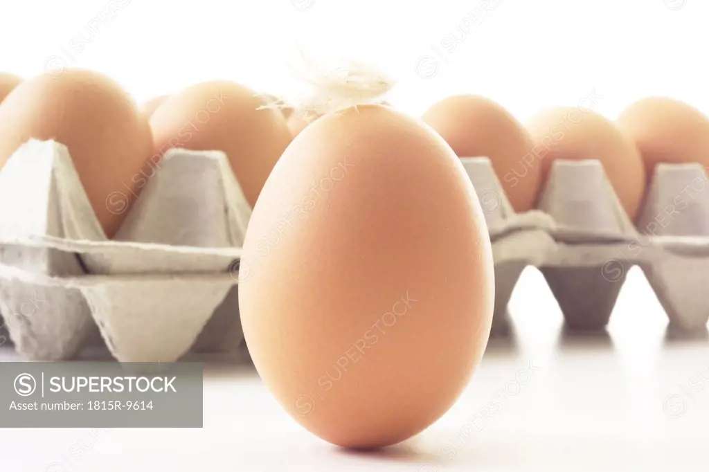 Fresh eggs, close-up