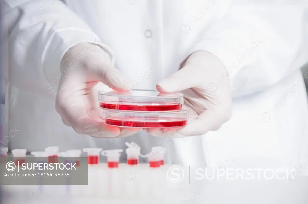 Germany, Bavaria, Munich, Scientist holding red liquid in petri dish for medical research in laboratory