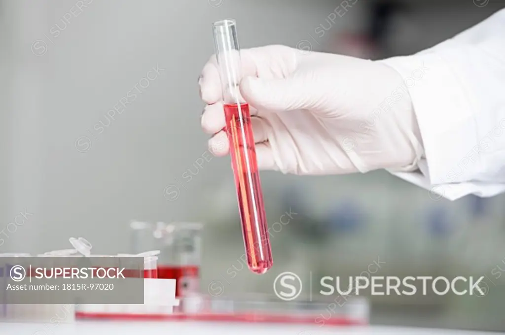 Germany, Bavaria, Munich, Scientist holding red liquid in test tube for medical research in laboratory