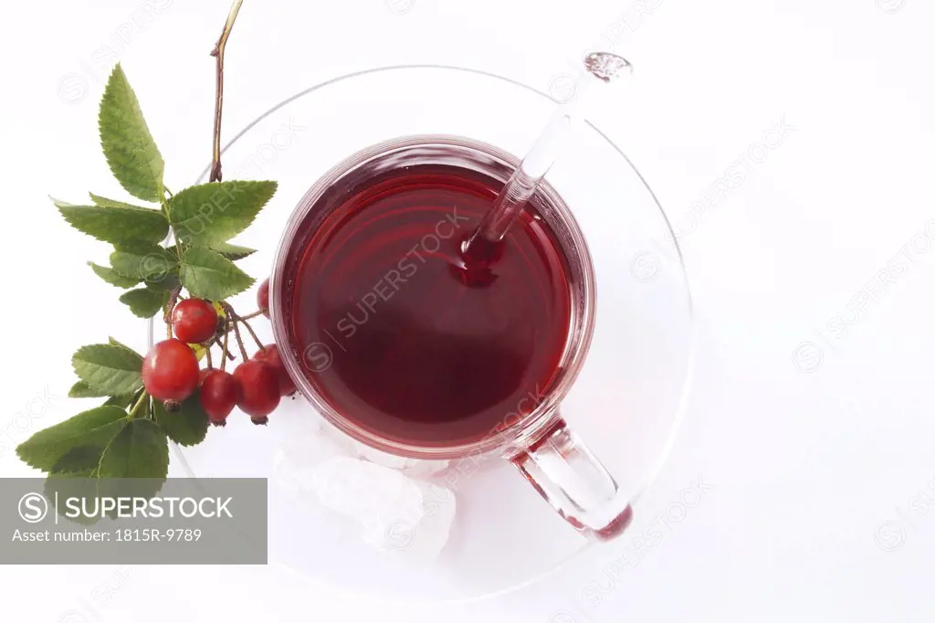 Rose hip tea with rosehip twig, elevated view