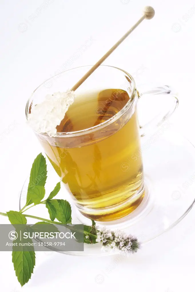 Peppermin tea (Mentha x piperitata)