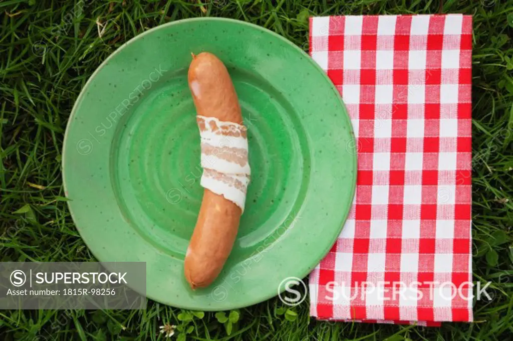 Europe, Belgium, Raw cheese saussage and bacon in plate with tea towel on grass