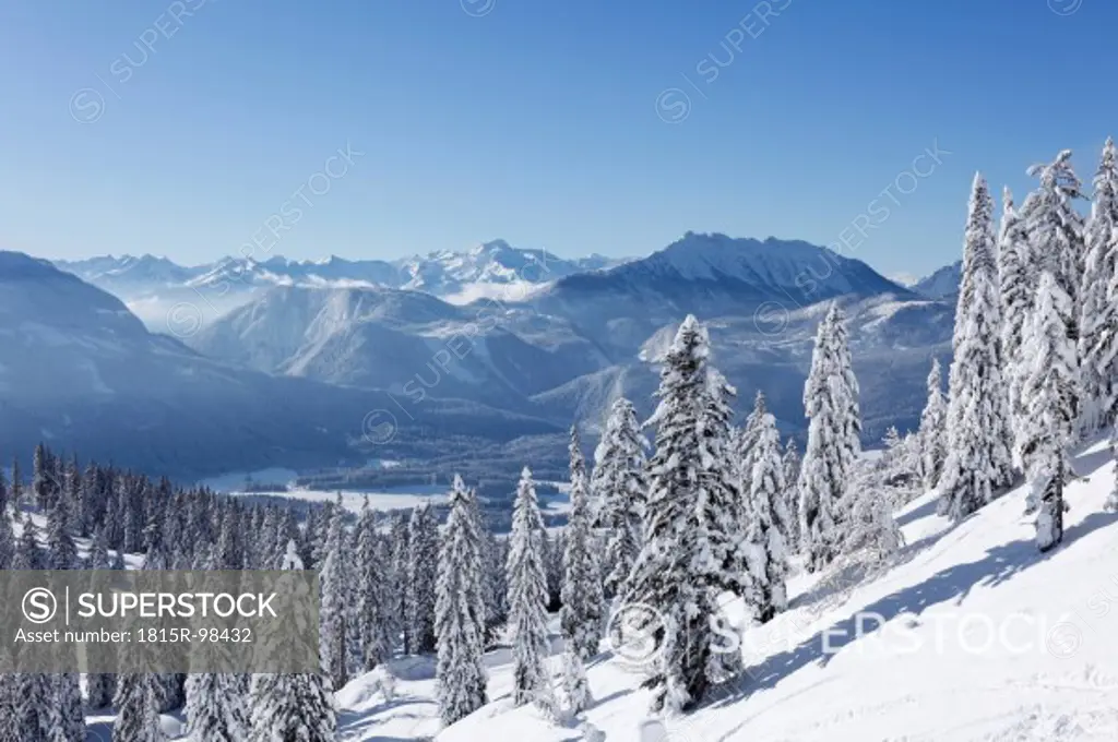 Austria, Styria, View of snowy fir tree on mountain