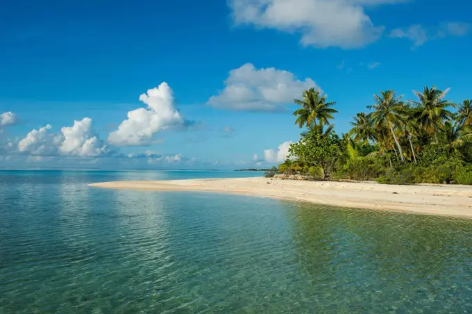 French Polynesia, Tuamotus, Tikehau, palm beach