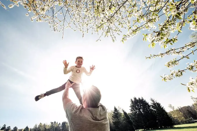 Father throwing son in air