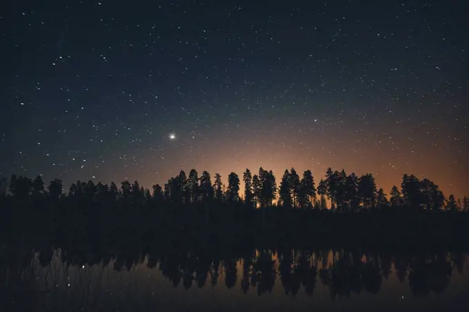 Starry sky over trees in Sodermanland, Nykoping, Sweden