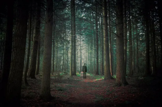 Person walking in dark forest, alienation