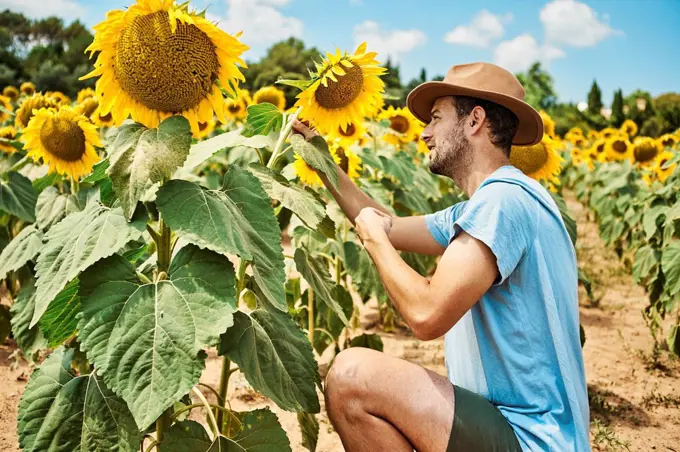 Man crouching and admiring sunflower in field during summer