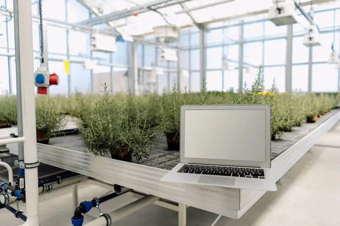 Laptop on equipment against plants in garden center