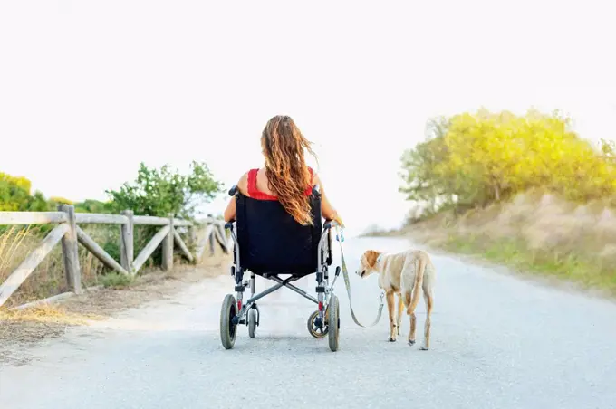 Woman in wheelchair with dog on road against clear sky