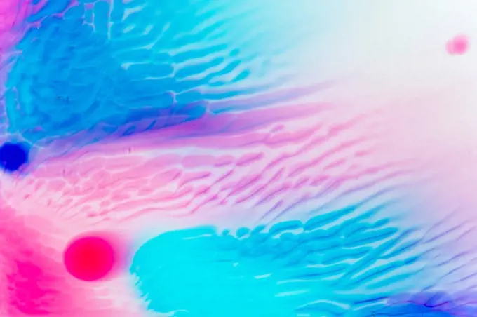 Full frame of blue and pink liquids mixing together