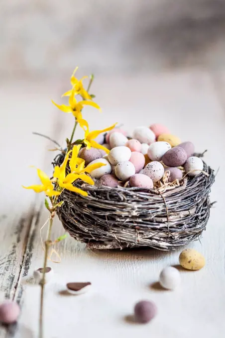Birds nest filled with chocolate Easter eggs