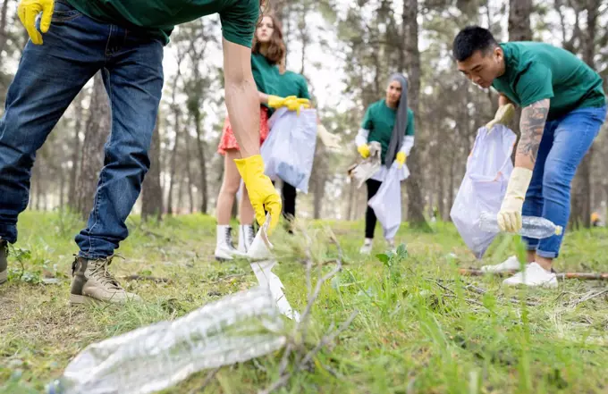 Multi-ethnic volunteers cleaning forest together