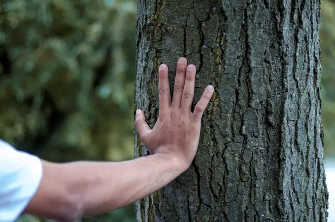 Man touching tree trunk