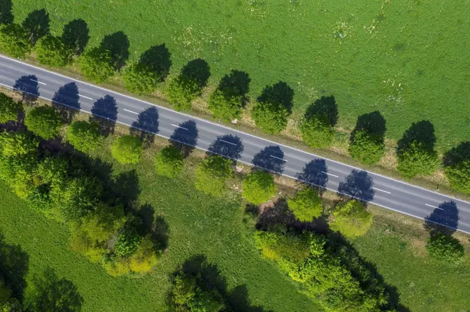 Drone view of treelined country road in spring