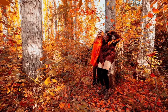 Happy friends with Halloween costume and make-up standing in forest during autumn