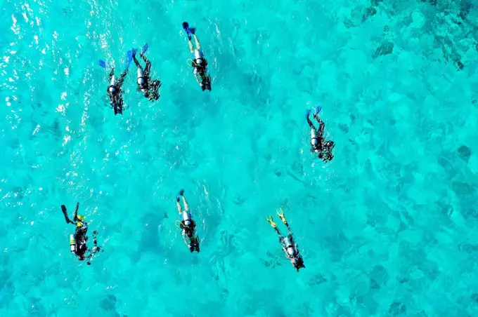 Scuba divers swimming in lagoon
