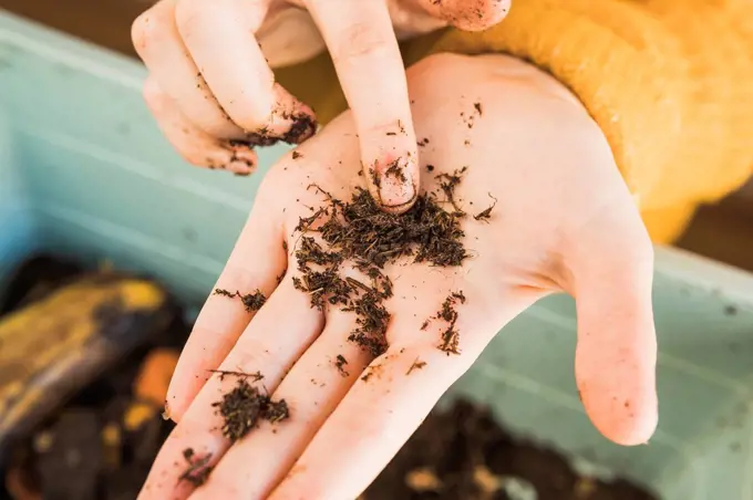 Woman pointing at worm with dirt on hand