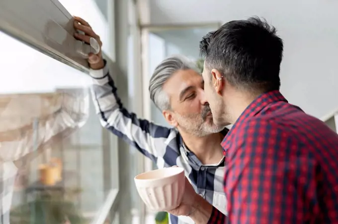 Gay couple kissing each other near window at home