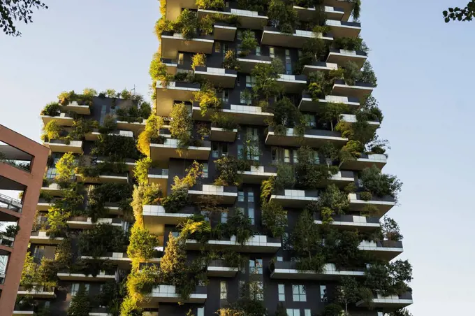 Green vertical garden at modern apartment