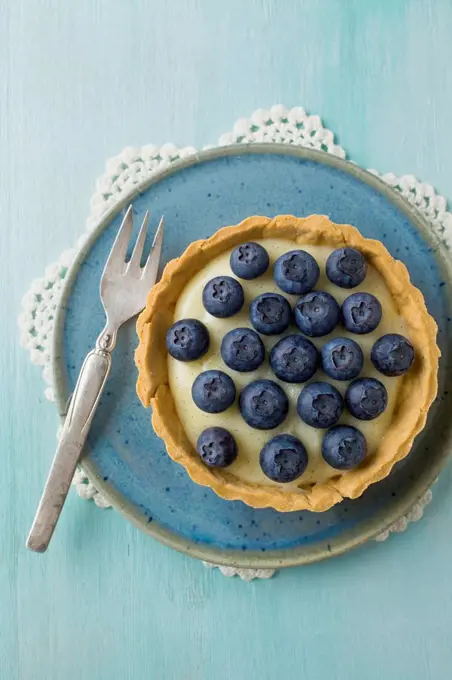 Blueberry tart with vanilla pudding and fork on plate