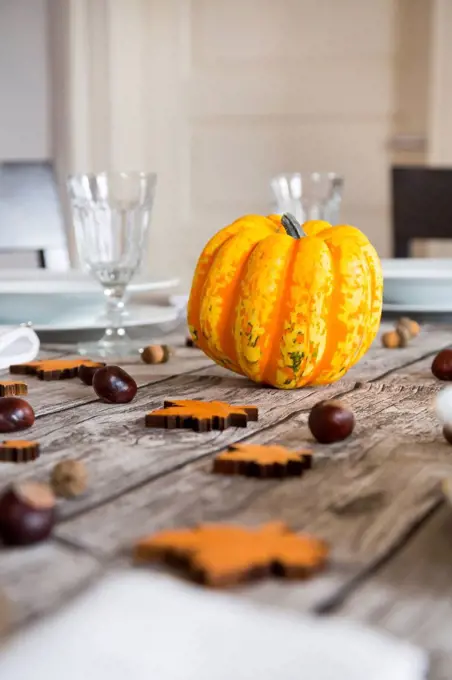 Yellow pumpkin, chestnuts and acorns on an autumnal laid table