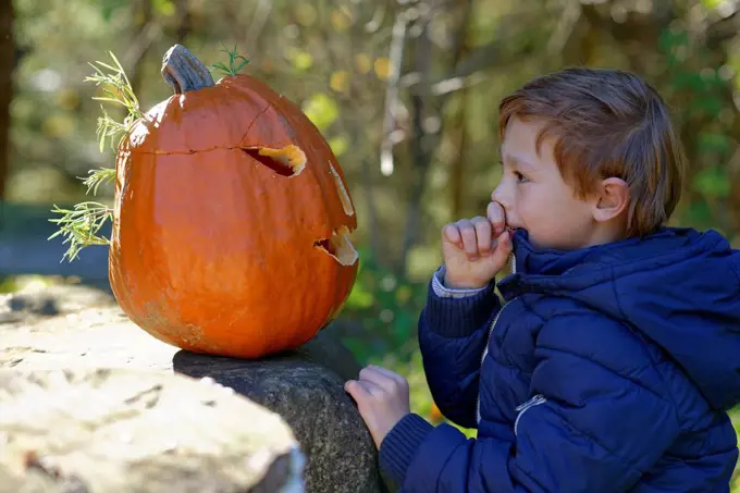 Boy examining Halloween pumpkin in forest
