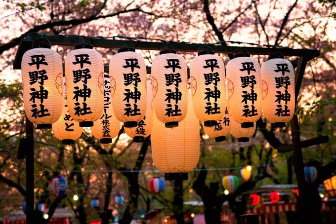 Japan, Kyoto, row of lighted Japanese lanterns in a park atblossoming season