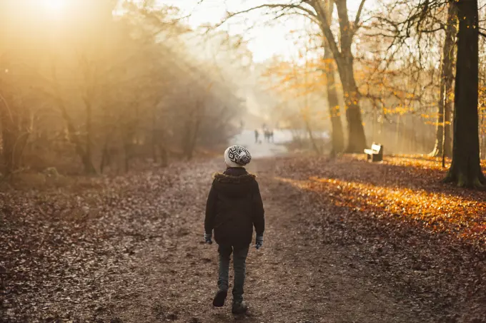 Boy walking through a sun drenched forest