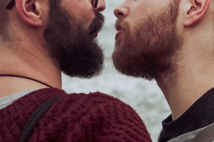 Gay couple face to face, partial view